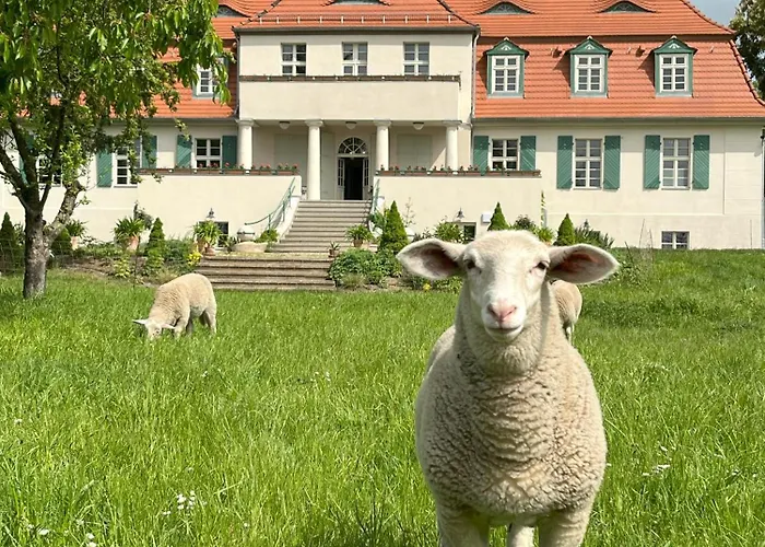 شقة Gutshaus Lietzow *